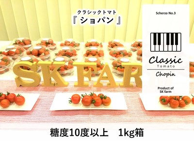 高糖度ミニトマト：クラシックトマト『ショパン』1kg箱＜出荷：2023年8 