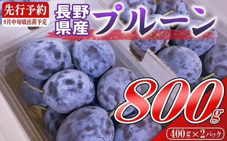 y2025N9{`{zߘa7NYv[800gi400g×2pbNjkCEE͔zs@Tv[@ʕ@t[c@́@˂̒n@MB@쌧@vs@Y