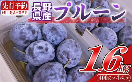 y2025N9{`{zߘa7NYv[1.6kgi400g×4pbNjkCEE͔zs@Tv[@ʕ@t[c@́@˂̒n@MB@쌧@vs@Y