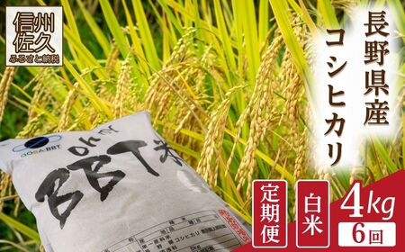 [令和7年産・白米4kg×6カ月定期便] 特別栽培米 BBT米(五郎兵衛) [2025年10月中旬頃〜順次発送] 先行予約 新米 信州 こしひかり[ コメ 白米 精米 お米 こめ おこめ 新米予約 備蓄品 コシヒカリ 長野県 佐久市 ]