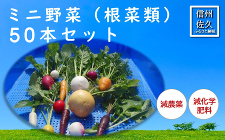 長野県佐久市産『ミニ野菜(根菜類)50本セット』(北海道・沖縄・離島は配送不可) 高原野菜 産地直送 新鮮 旬彩 減農薬 減化学肥料 信州 おまかせ[ 長野県 佐久市 ]