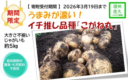 [期間限定]ジャガイモ約5kg(北海道・沖縄県・離島配送不可)旨味が濃い!農園いち推しの品種「こがね丸」 長野県 信州 佐久市 高原