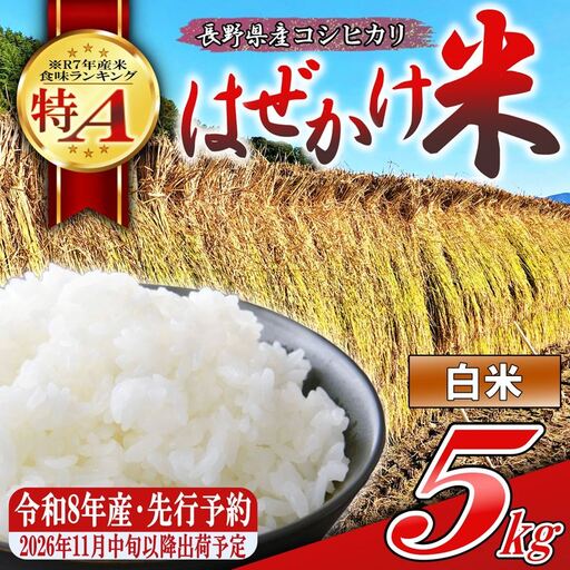 [令和8年産・白米5kg]長野県産こしひかり はぜかけ米(北海道・沖縄県・離島は配送不可) [先行予約・2026年11月下旬以降発送] 精米 2026年産 産地直送 信州 長野県 佐久市 美味しい うるち米 先行予約