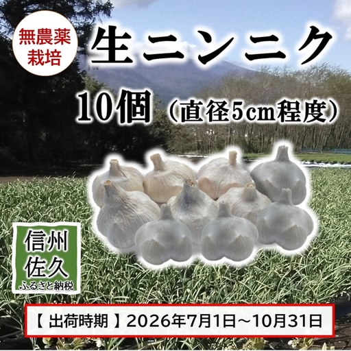 生ニンニク 10個 (直径5cm程度) (2026年7月〜10月出荷/沖縄・離島は配送不可) にんにく ガーリック 最高級ホワイト六片種 無農薬 長野県 佐久市 旬彩 国産 信州