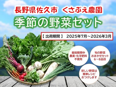くさぶえ農園『季節の野菜6〜8品目セット』(2025年7月〜2026年3月出荷/北海道・沖縄・離島は配送不可)高原 無農薬 産地直送 新鮮 旬彩 簡単レシピ 先行予約[ 産直 高原野菜 季節の野菜 旬 有機 有機栽培 農薬 化学肥料 不使用 佐久市 ]