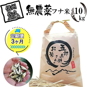 [令和6年産]フナで育てた「五郎兵衛さんのお米」農薬不使用米10K 定期便3ヶ月[出荷開始:2024年10月初旬以降順次配送]