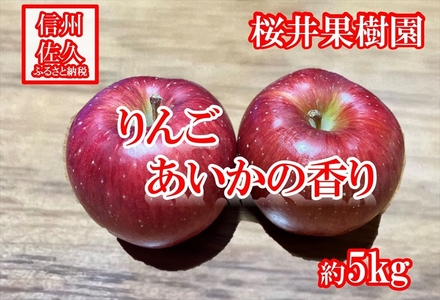 [希少品種] あいかの香り ご家庭用 約5kg(1箱 10〜23個入り)(沖縄、離島への配送不可)[出荷時期:2024年11月10日出荷開始 〜 2024年11月25日出荷終了][ フルーツ 長野県 佐久市 ]