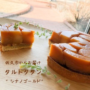 [タルトタタン] 手作りケーキ (北海道・沖縄・離島は発送不可) 信州りんご 期間限定 焼き菓子 [出荷時期:2025年2月28日出荷終了][信州産シナノゴールド りんご ケーキ をお鍋でコトコト オーブンでじっくりジューシー 長野県 佐久市 ]