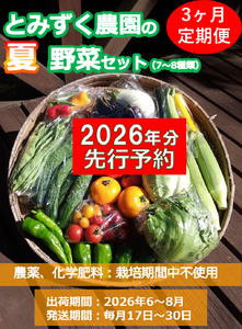 [2026年先行予約・3ヶ月連続定期便]とみずく農園の夏野菜セット (北海道・沖縄県・離島は配送不可) 無農薬 高原野菜 旬 新鮮 詰合せ [ 産地直送 産直 季節の野菜 旬野菜 有機 有機栽培 農薬 化学肥料 不使用 長野県 佐久市 彩]