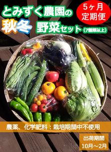 [5ヶ月連続定期便]とみずく農園の秋冬野菜セット (北海道・沖縄県・離島は配送不可) 無農薬 高原野菜 旬 新鮮 詰合せ [ 産地直送 産直 季節の野菜 旬の野菜 有機野菜 有機栽培 農薬 化学肥料 不使用 長野県 佐久市 旬彩]