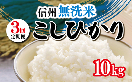 [定期便3ヶ月] 信州米 こしひかり ( 無洗米 ) 10kg 長野県産 | 新米 令和5年産 米 こめ 銘柄 単一米