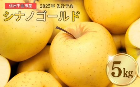 りんご シナノゴールド 12~20玉 約5kg |シナノゴールド