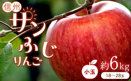 りんごの王様「サンふじ」 小玉 約6kg (18〜28玉)