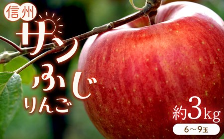 りんごの王様「サンふじ」 約3kg (6〜9玉)