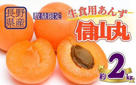 [2026年先行予約]生食用あんず信山丸 約2kg | あんず