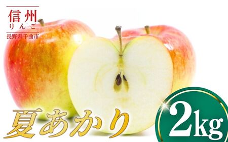 [2026年先行予約]りんご 夏あかり2kg | りんご