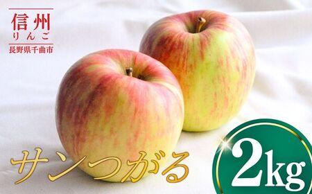 [2026年先行予約]りんご サンつがる2kg | りんご