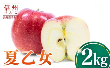[2026年先行予約]りんご 夏乙女2kg | りんご