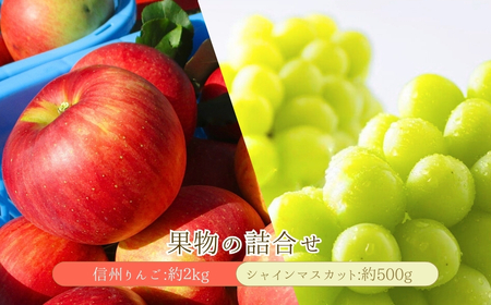 [2026年先行予約] シャインマスカット 約500g・りんご3種詰め合わせ 計約2kg(5~8玉)セット ぶどう 葡萄 マスカット 林檎 詰合せ| シャインマスカット