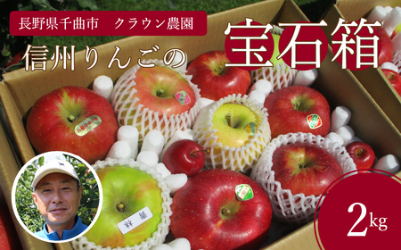 りんご 園主におまかせ 詰合せ 計約2kg(5~8玉)りんごの宝石箱|りんご