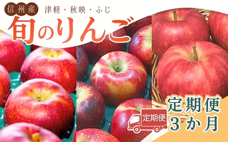 [2026年先行予約][定期便3ヶ月]旬のりんご | りんご