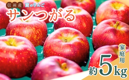 [2026年先行予約]夏のりんご サンつがる 家庭用 約5kg 訳あり | りんご
