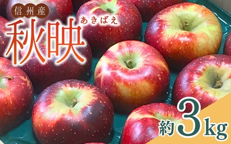 [2026年先行予約]太陽の恵みたっぷり りんご 秋映 3kg | りんご