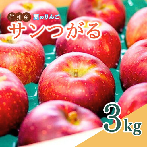【2026年先行予約】夏のりんご サンつがる 約3㎏ ｜ りんご