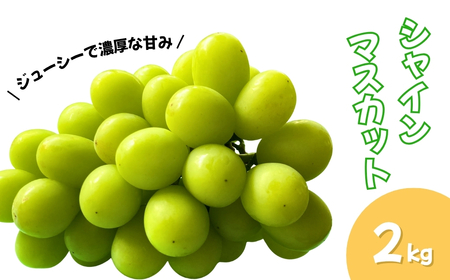 �y2026�N��s�\��z�V���C���}�X�J�b�g ���̂�! ��2kg �b �V���C���}�X�J�b�g