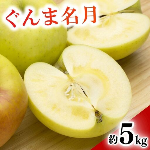 【2026年先行予約】りんご ぐんま名月 約5kg |りんご
