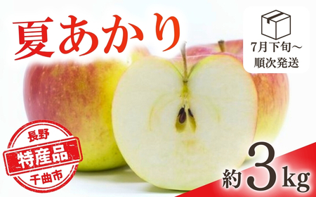 [2026年先行予約]りんご 夏あかり(長野県オリジナル品種) 約3kg | りんご