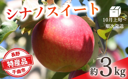 [2026年先行予約]りんご シナノスイート(長野県オリジナル品種) 約3kg |りんご