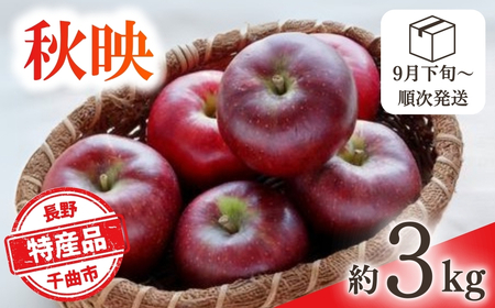 [2026年先行予約]りんご 秋映(長野県オリジナル品種) 約3kg | りんご