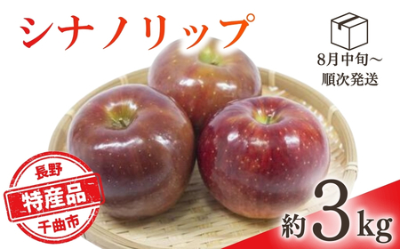 [2026年先行予約]りんご シナノリップ(長野県オリジナル品種) 約3kg | りんご
