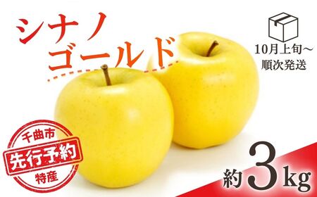 [2026年先行予約]りんご シナノゴールド(長野県オリジナル品種) 約3kg |りんご
