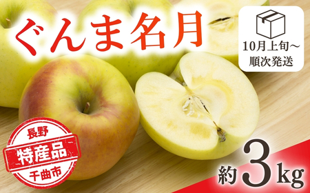 [2026年先行予約]りんご ぐんま名月 約3kg |りんご