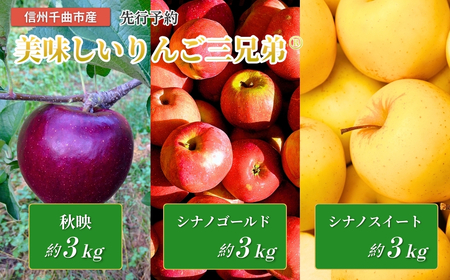 美味しいりんご三兄弟®(秋映、シナノゴールド、シナノスイート)食べ比べ|りんご