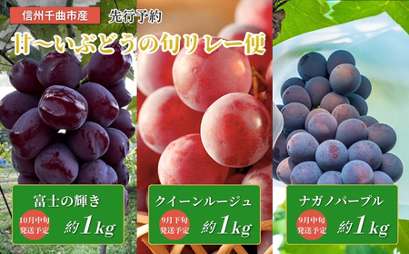 [2026年先行予約]皮ごと食べられる 信州育ち甘~いぶどうの旬リレー便(ナガノパープル、クイーンルージュ®、富士の輝き)|ぶどう