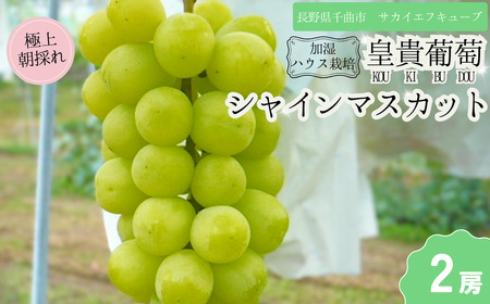 y2026Ns\zVC}XJbg  nEX͔| ŏ㋉i 2[ b VC}XJbg