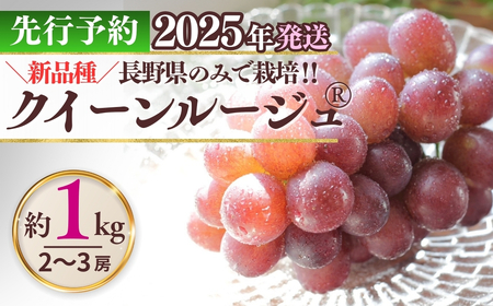 クイーンルージュ® 約1kg ( 2~3房 )|ぶどう ぶどう