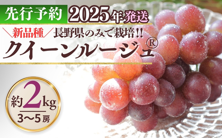 NC[[WR 2kg ( 3~5[ )b Ԃǂ Ԃǂ