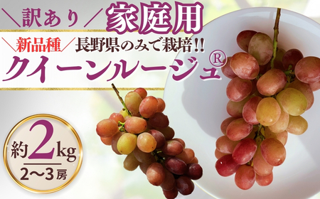 y2026Ns\z󂠂 NC[[WR  2kgi4~6[jŒ1.8kgȏb Ԃǂ Ԃǂ