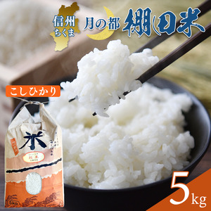 [2025年先行予約]棚田米 こしひかり 白米 5kg 令和7年産|米