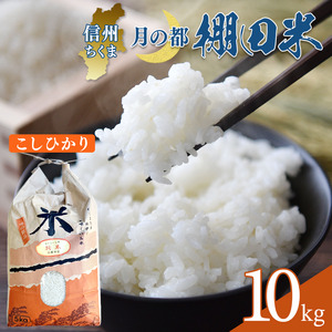[ 令和7年産 コシヒカリ 先行予約]棚田米 こしひかり 白米 10kg 令和7年産 | 新米 コシヒカリ 千曲市産 長野県 信州| 新米 コシヒカリ 千曲市 長野県 信州