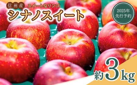 [2025年先行予約]スイートなりんご シナノスイート 約3kg| りんご