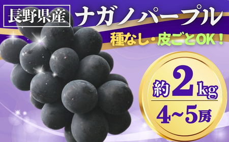 y2026Ns\zԂǂ iKmp[v 2kg(4~5[)b Ԃǂ