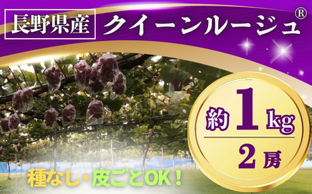 y2026Ns\zԂǂ NC[[WR 1kg(2[) 쌧IWiibԂǂ