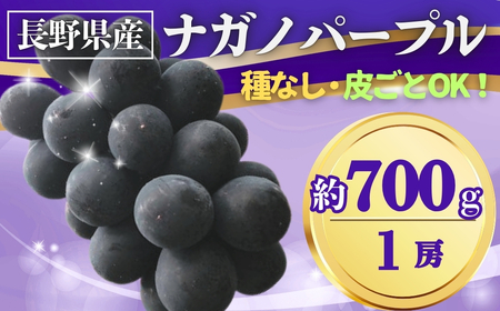 y2026Ns\zԂǂ iKmp[v 700g(1[)bԂǂ