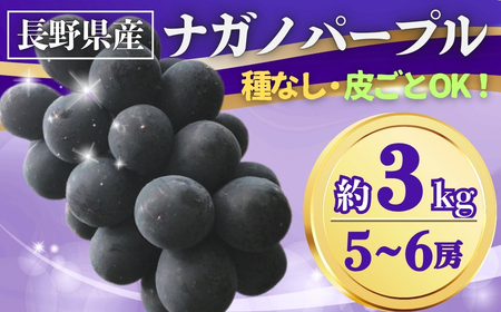 y2026Ns\zԂǂ iKmp[v 3kg(5~6[)b Ԃǂ