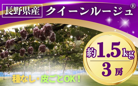 y2026Ns\zԂǂ NC[[WR 1.5kg(3[) 쌧IWiib Ԃǂ